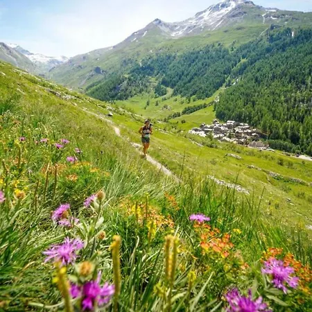 Lognan 6 Centre Mont Blanc * Chamonix