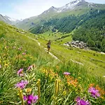 Lognan 6 Centre Mont Blanc * Chamonix